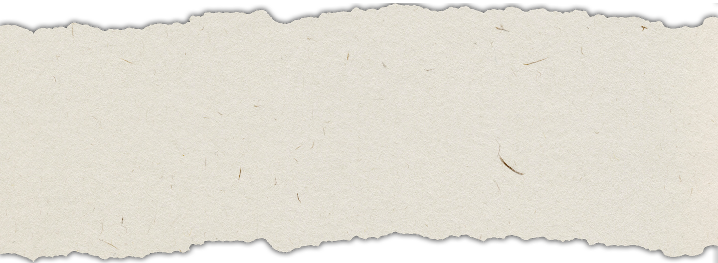 Experience youth Background