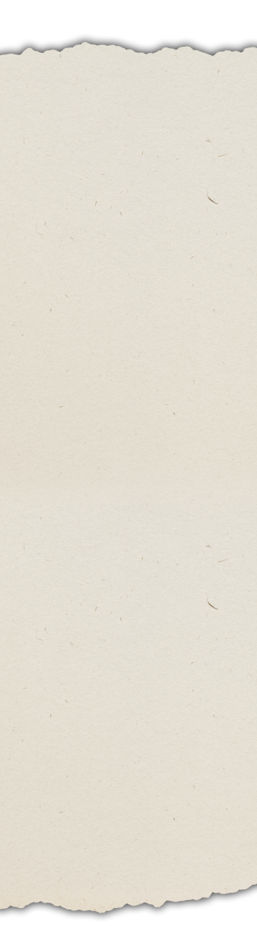 Experience Youth Background